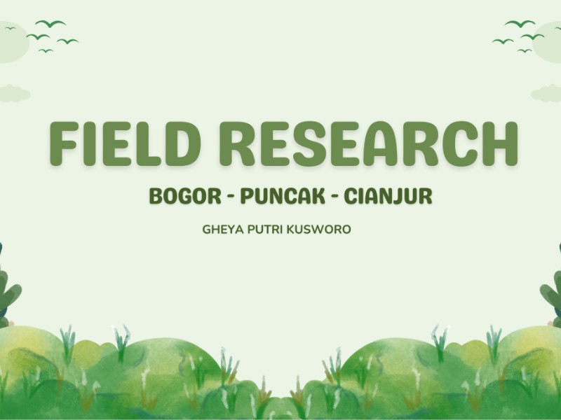 Slide Presentasi FR Bopuncur