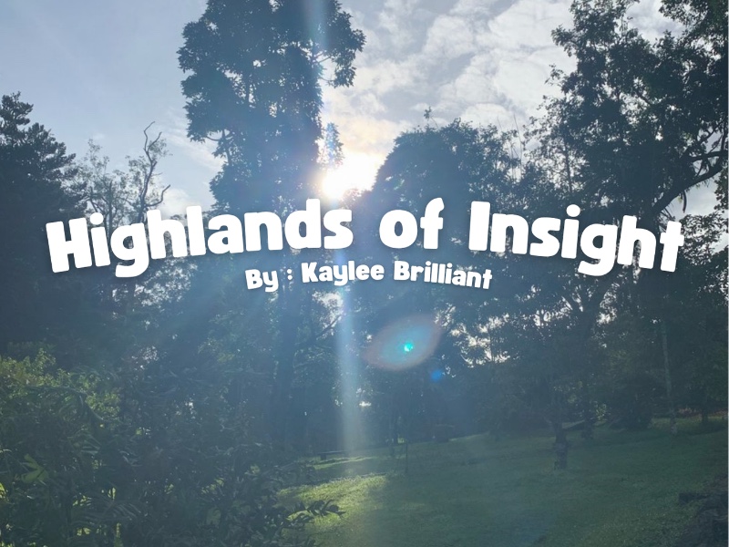 Highlands of Insight